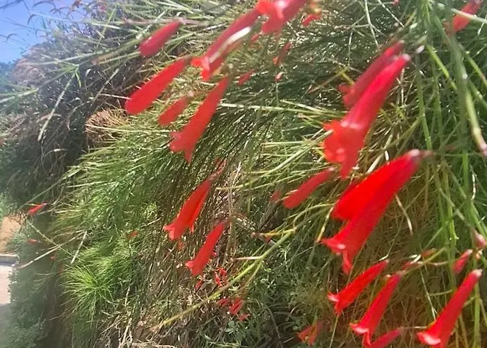 דירה Tropical Secrets *
